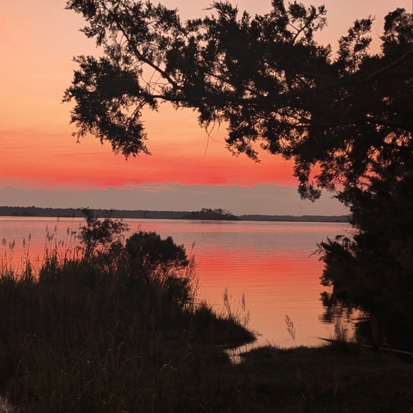 Meet your Posher, Eliza beth - Picture 1 of 1